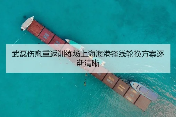 武磊伤愈重返训练场上海海港锋线轮换方案逐渐清晰
